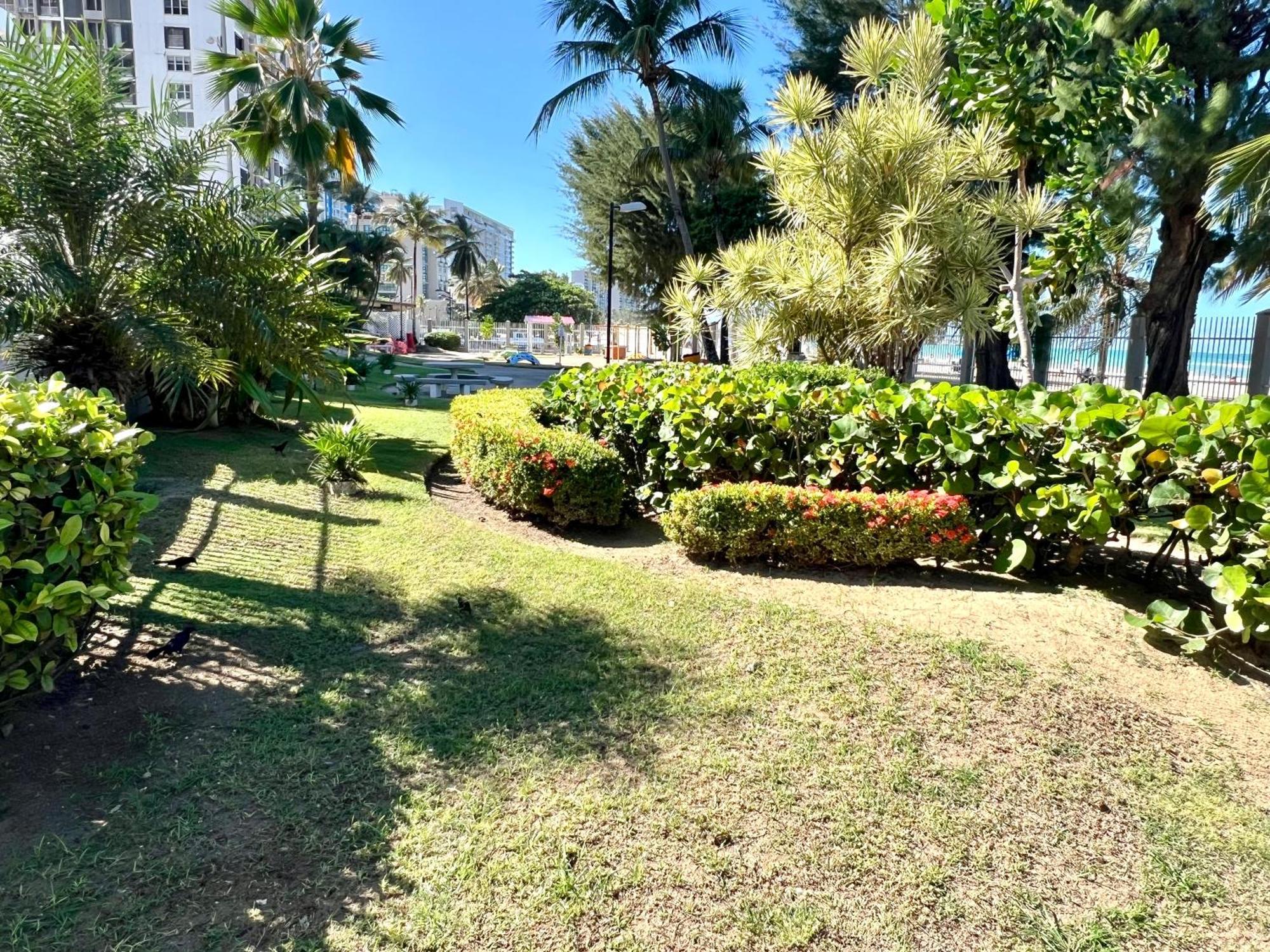Ocean View Apt On Isla Verde In A 14Th Floor 圣胡安 外观 照片